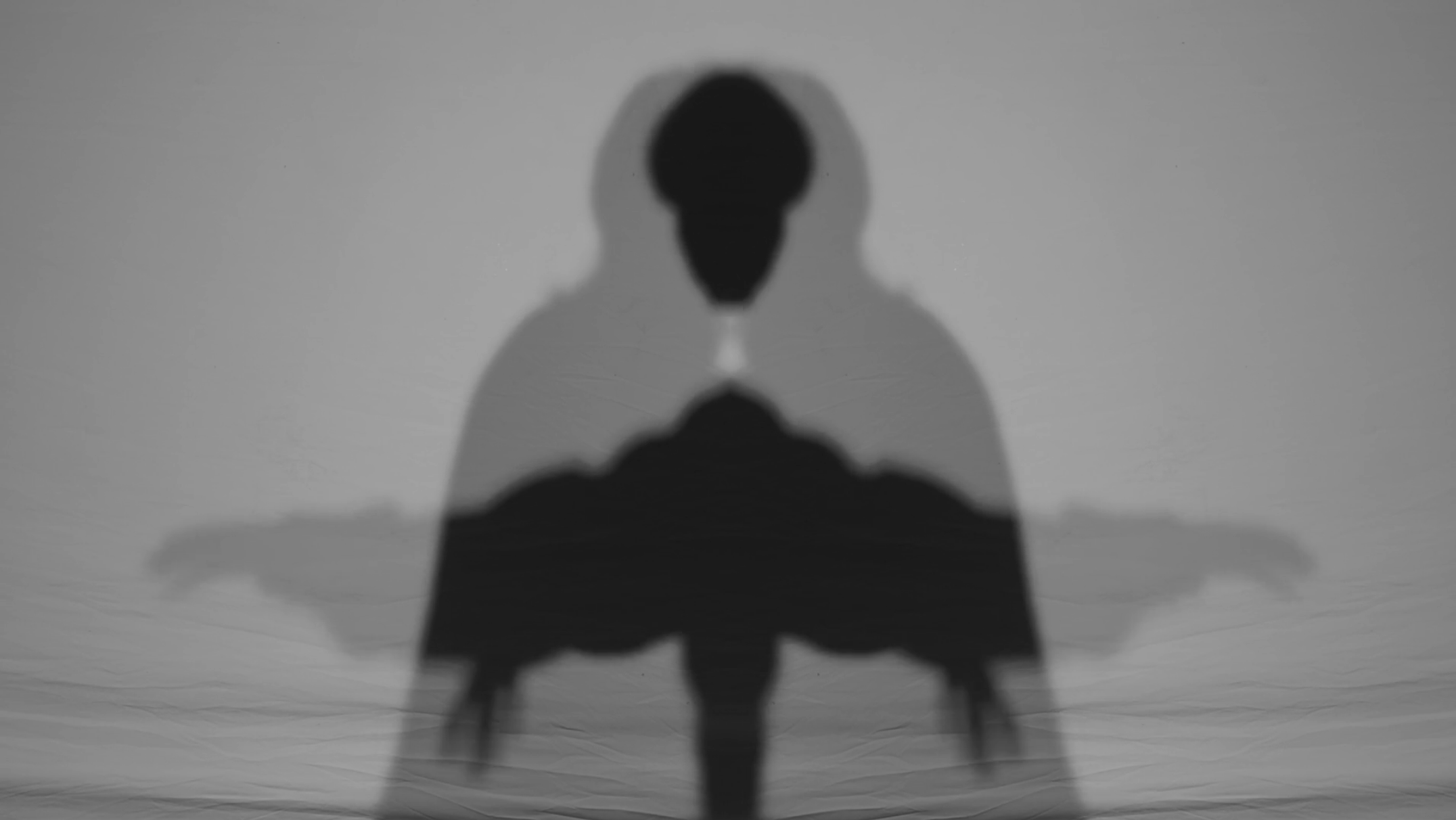 The Quiet Trouble of a Shadow